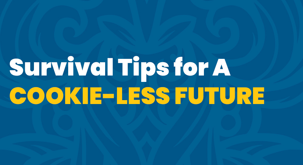 Survival Tips for A Cookie-less Future - Terminus Site