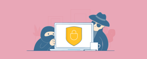 Ecommerce Fraud: How to Protect Your Store From Online Shopping Scams