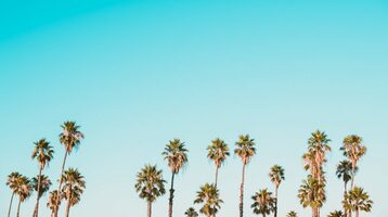 4 Tips For Filling Your Agency Sales Pipeline Before Summer