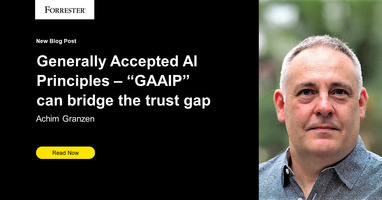 Generally Accepted AI Principles - "GAAIP" - Can Bridge The Trust Gap