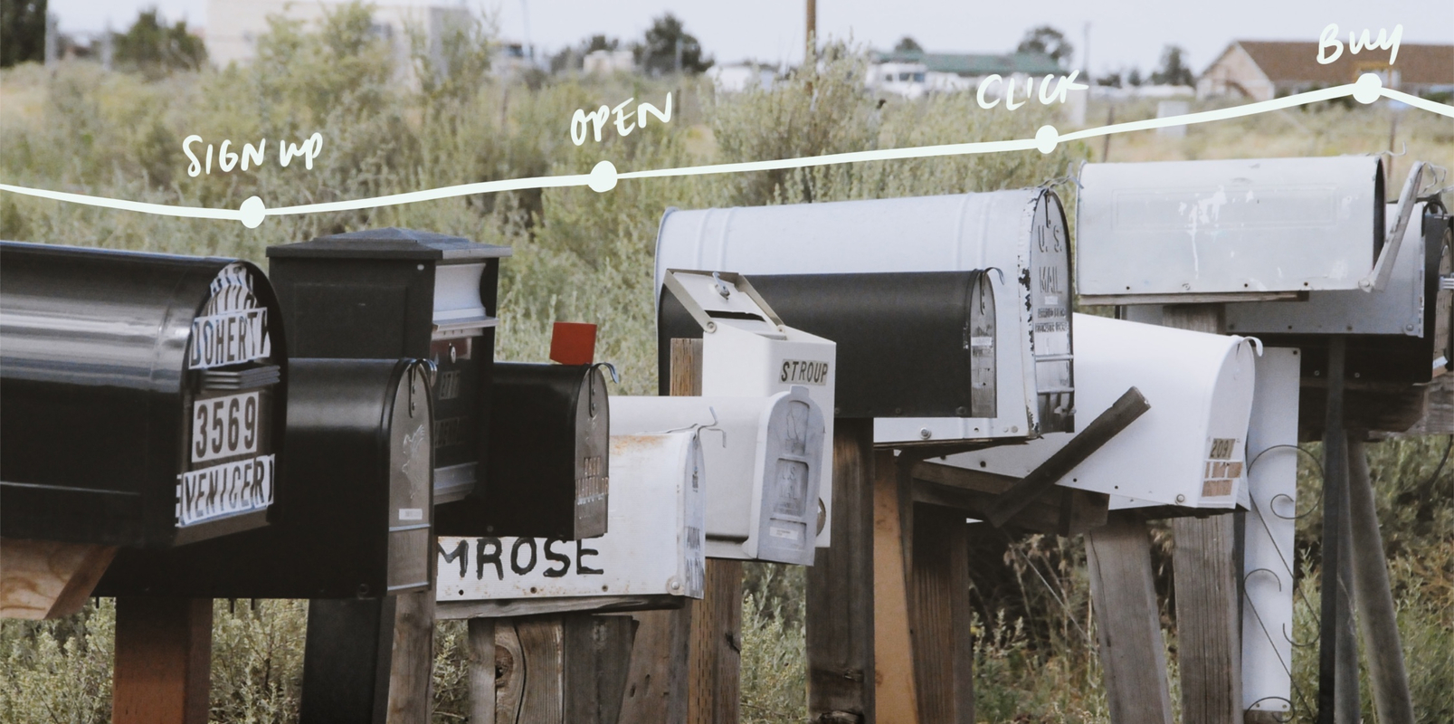 Email marketing KPIs: 12 metrics to fuel creator growth