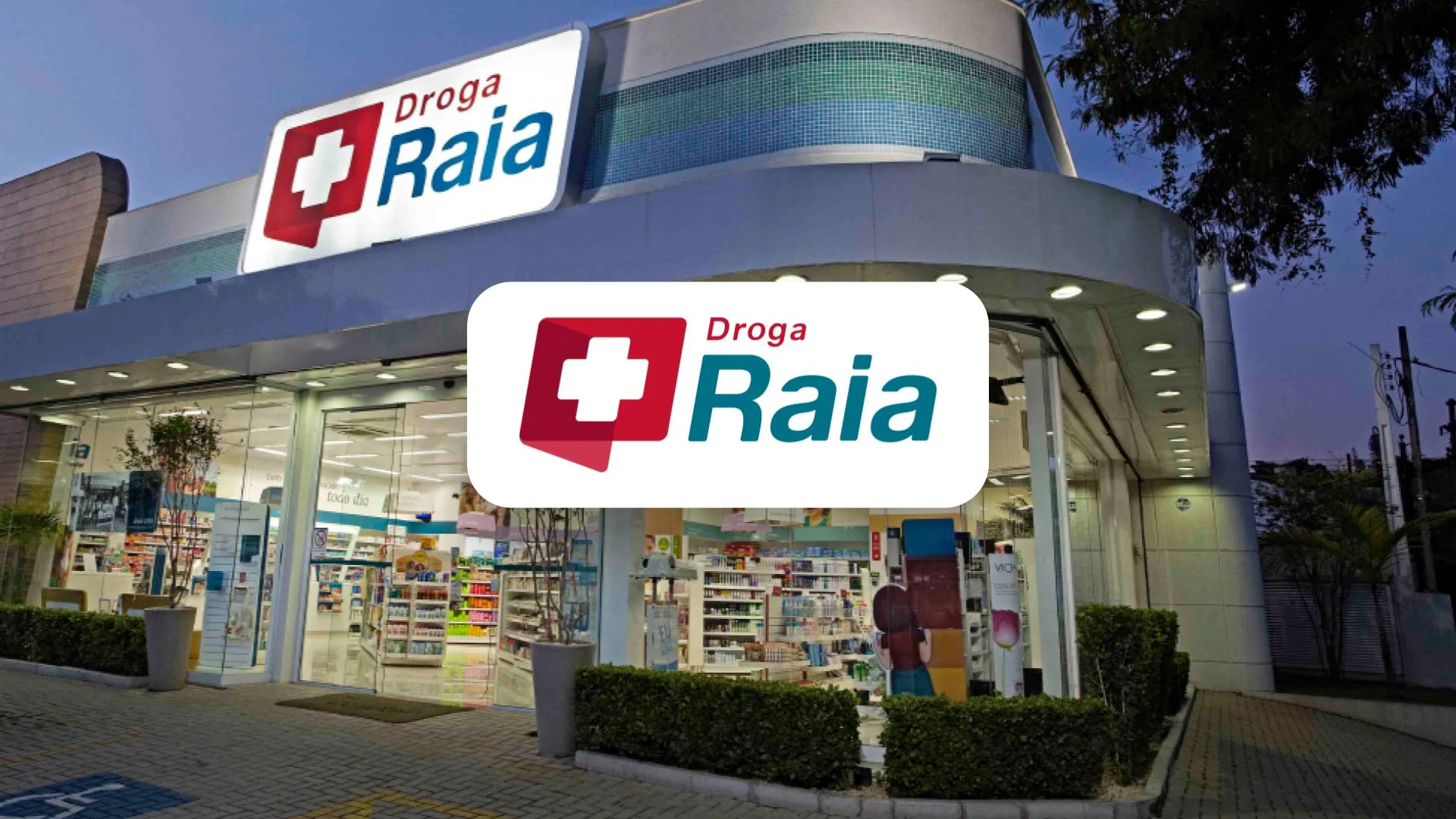 Raia Drogasil's ROAS increase knocked it out of the park.