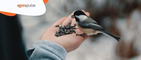 How to Build a Brand on Twitter in 11 Easy Steps