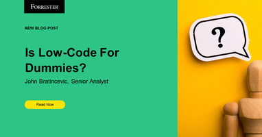 Is Low Code For Dummies?