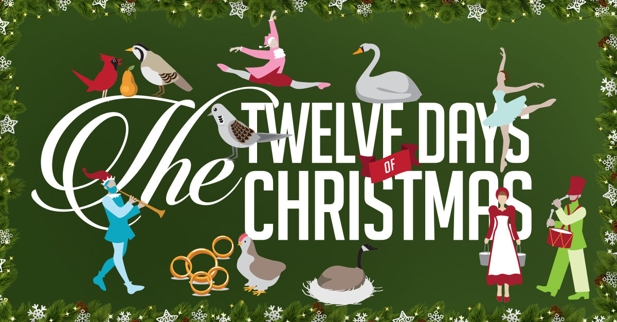 Text to Vote: Holiday Texting Ideas