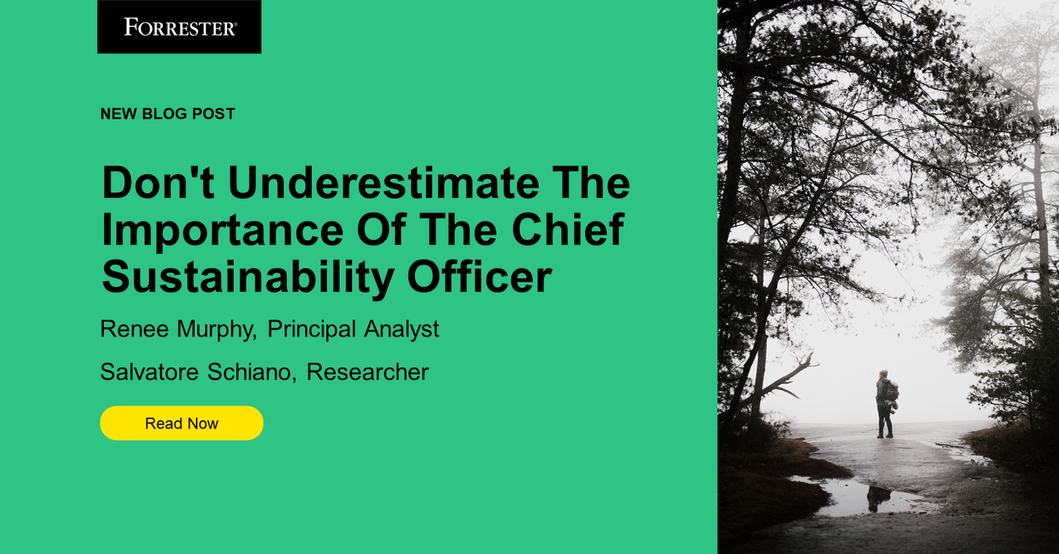 Don't Underestimate The Importance Of The Chief Sustainability Officer