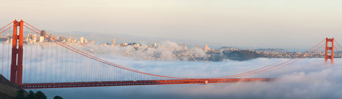 SF Tax Office improves communications with Experience Manager