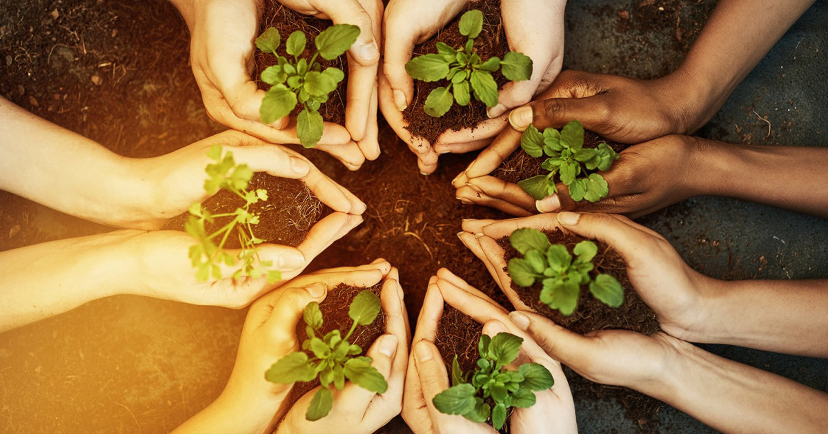 How to Go Green and Save Money