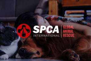 SPCA International