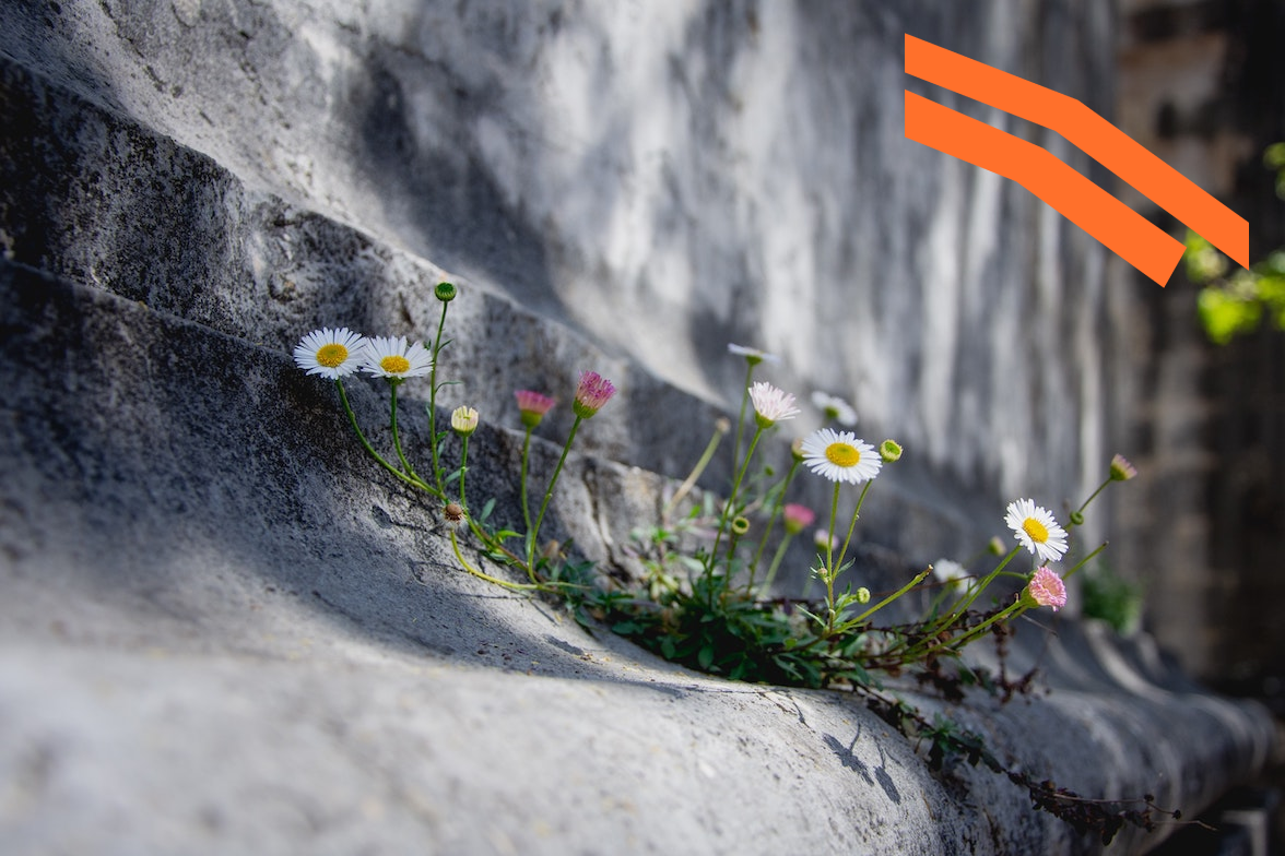 How to Hire a Social Media Manager: Our Exact Process and Job Description