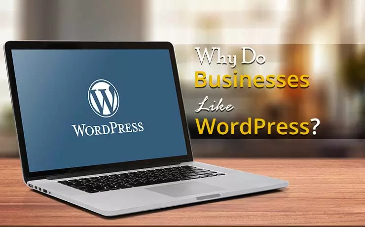 Why Do Businesses Like WordPress?