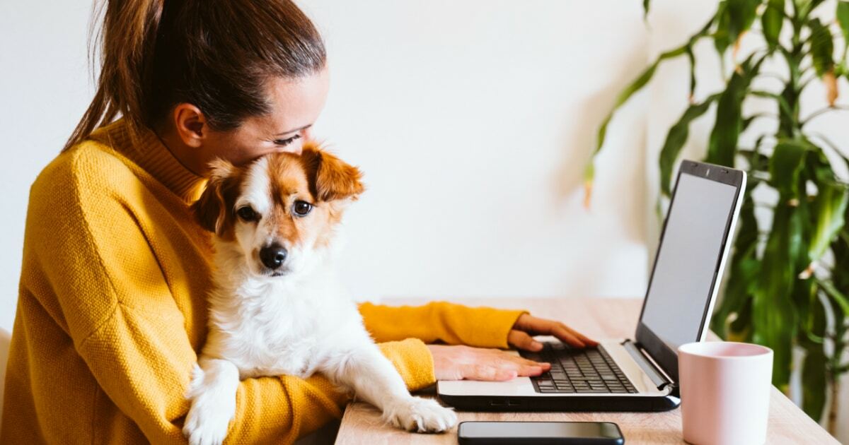 The Long Form Content Strategy and How to Make it Work.