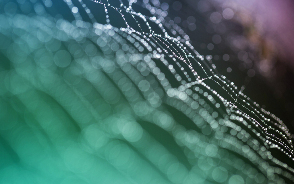 Graph Databases: Living on the Edge