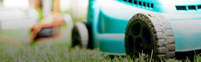 Sustainable Landscaping Guide