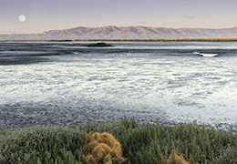 Save The Bay Raises Brand Awareness And Community Consciousness With Act-On