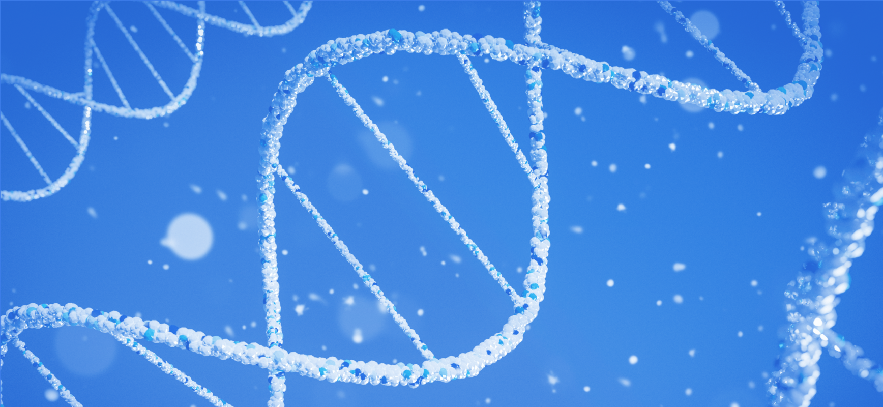 The Difference Between Good & Great: Evolving Opal's Cultural DNA