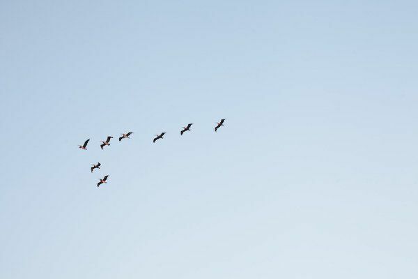 When Ego Gets in the Way: 3 Ideas to Work With Less Ego