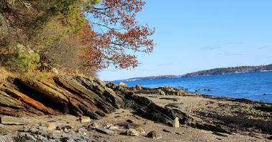 Female sellers are key to unlocking future sales success