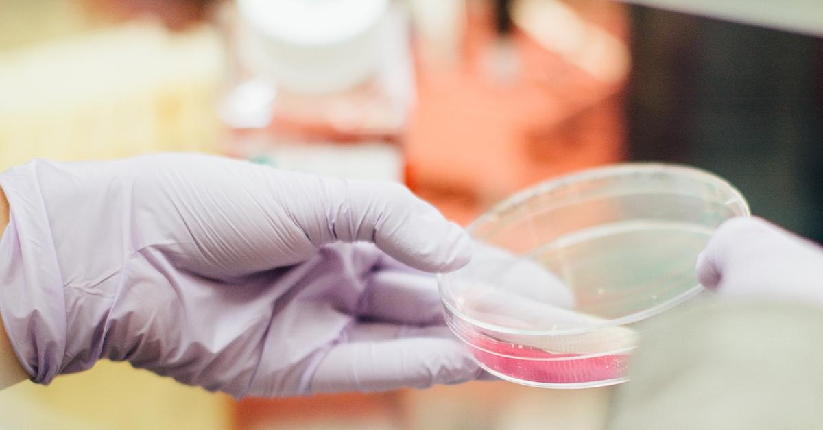 How to boost timelines and efficiencies in clinical trials