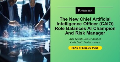 The New Chief Artificial Intelligence Officer Role Balances AI Champion And Risk Manager
